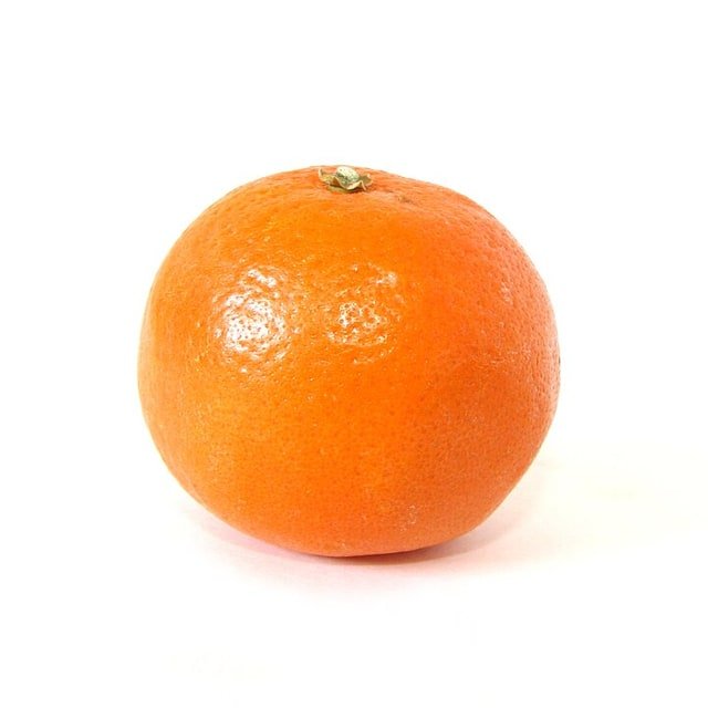 Citrus Atelier