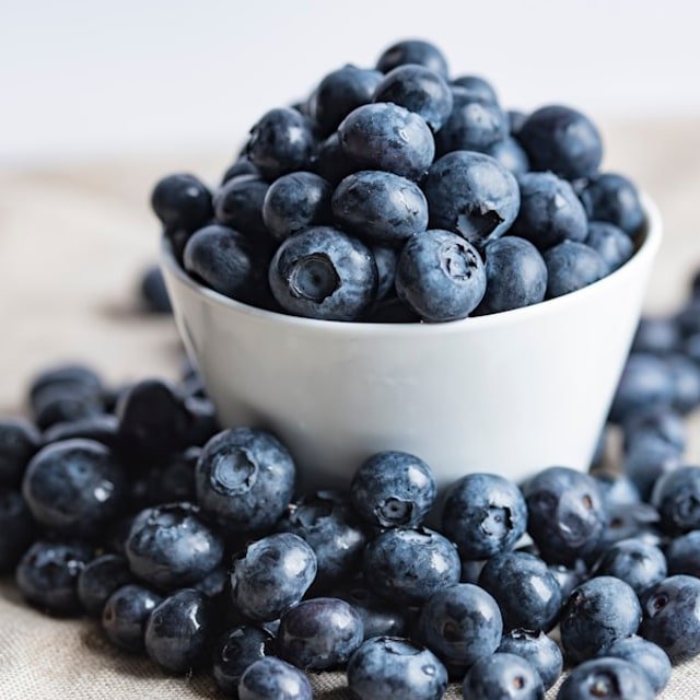 Bluecrop Blueberry