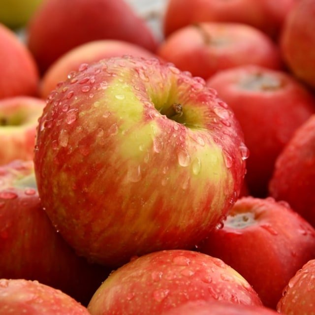 Fantasia Nectarine